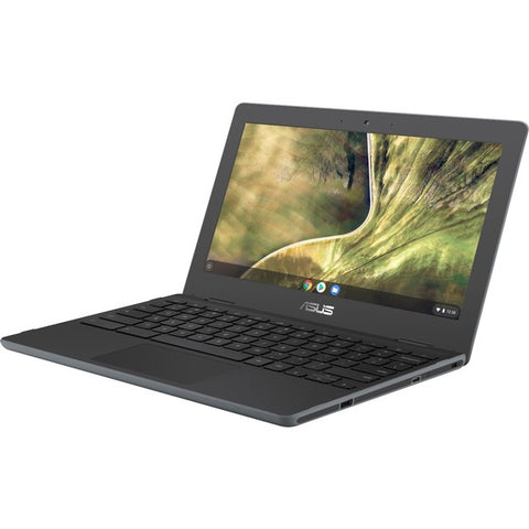 ASUS Computer International Chromebook C204EE-YS01-GR Chromebook